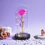 Edbiret Rose Flower Night Light Decorative Showpiece - 21.8 Cm